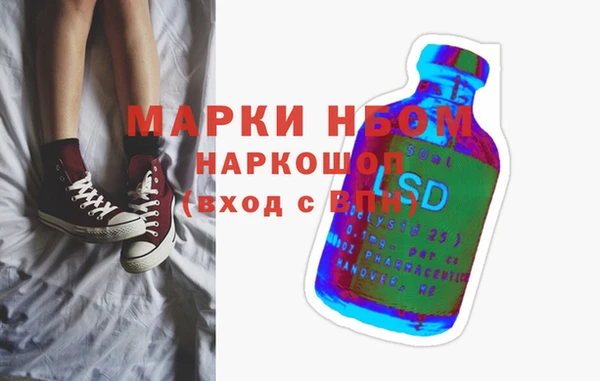 индика Протвино
