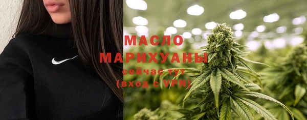 индика Протвино