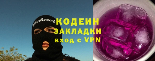 индика Протвино