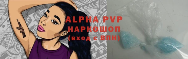 индика Протвино