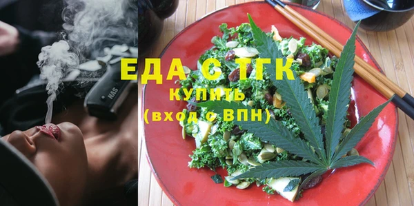 индика Протвино