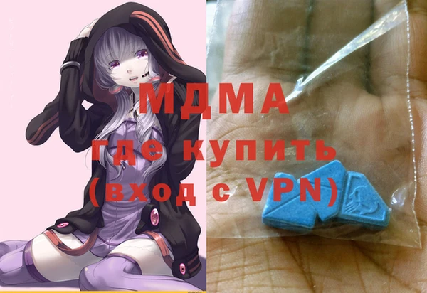 индика Протвино