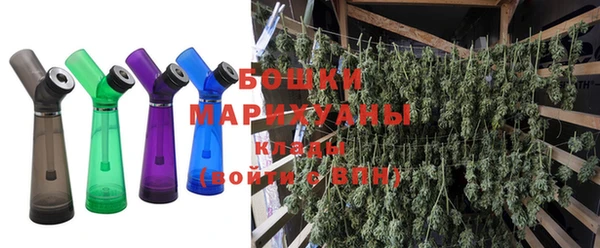 индика Протвино