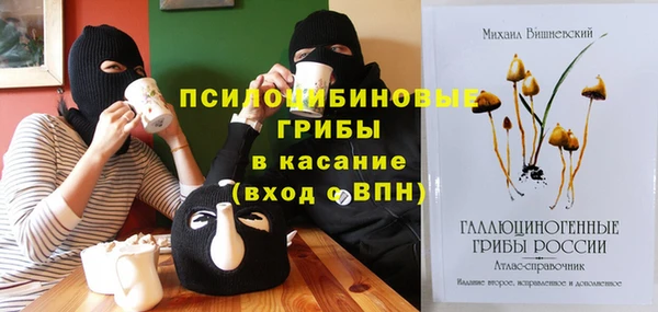 индика Протвино
